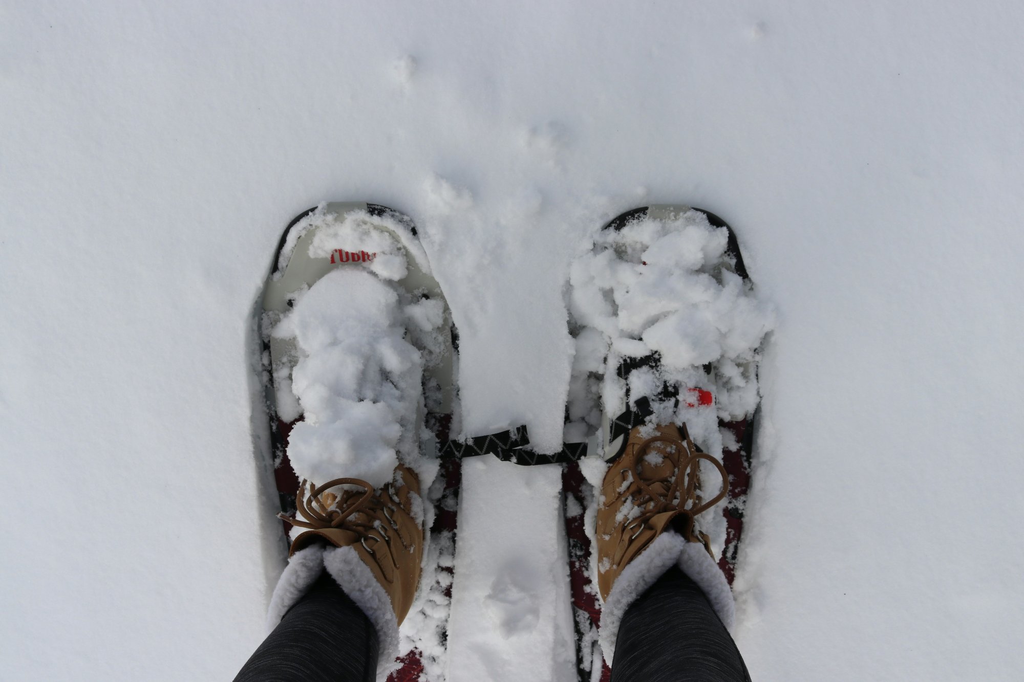 Snowshoes in fresh powder snow